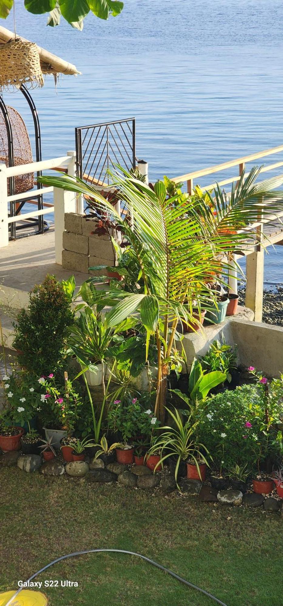 Chue&Larry'S Beachside Homestay Libagon Exterior photo